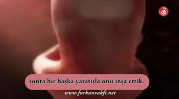 Tefekkür Sinevizyonu