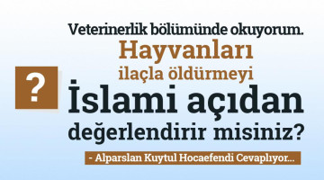Veterinerlik bölümünde okuyorum. Hayvanlara ötenazi (ilaçla öldürme) yapılmasını İslami açıdan değerlendirir misiniz?