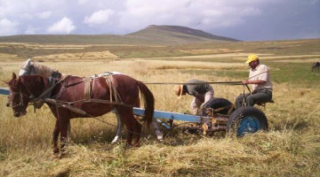 Köylerde yaşayan ve zamanının çoğunu köy işleriyle geçiren insanlara tavsiyeleriniz nelerdir?