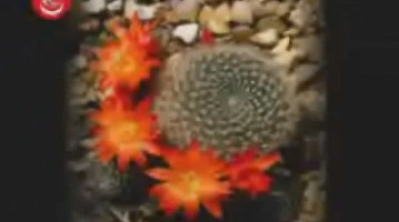 Allah'a İnanmayan Birisine 'Allah'ı Nasıl Anlatmalıyız?